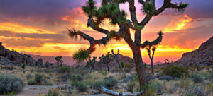 Heating Tune-Up In Ridgecrest, CA
